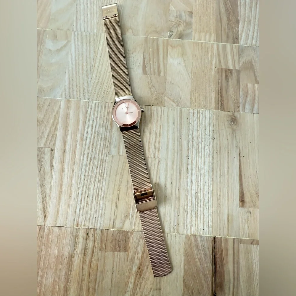 Skagen brand model